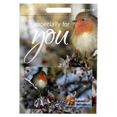 Aylett Gift Card - Winter Robin
